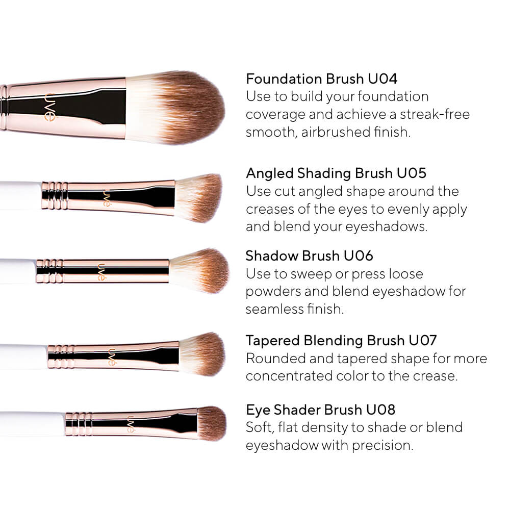 Professional Antimicrobial Brush Set  (11+)