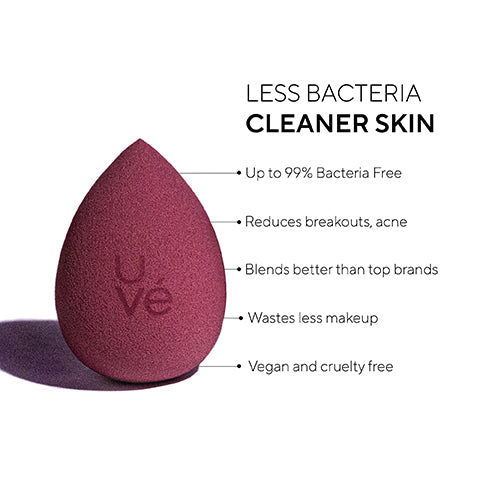 Guitta Harb Special Release 2-Pack Sponges