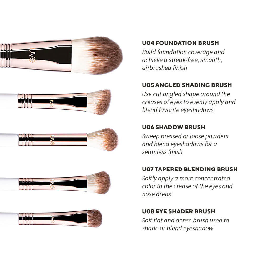 Professional Antimicrobial Brush Set  (11+)