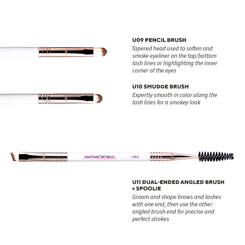 Professional Antimicrobial Brush Set  (11+)
