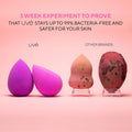 Violet Antimicrobial Blender Blenders UVé Beauty 